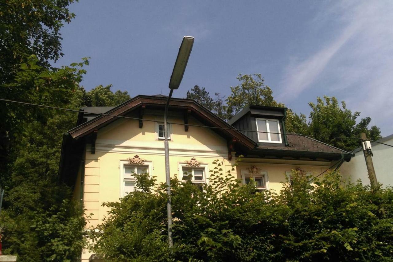Ruhige, Grosse Ferienwohnung Am Muehlberg, Stadtrand Vienna Esterno foto